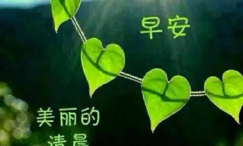 曹清华的药是真的吗-曹清华治疗腰椎盘突出、曹清华止痛胶囊对腰间盘有效吗 -曹清华对腰痛有效果吗网