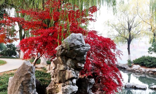 曹清华治疗腰椎胶囊作用与功效-曹清华治疗腰椎盘突出、曹清华止痛胶囊对腰间盘有效吗 -曹清华对腰痛有效果吗网